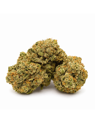 green crack fleur thx plus