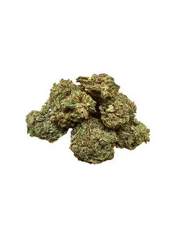 white dawg fleur thx plus