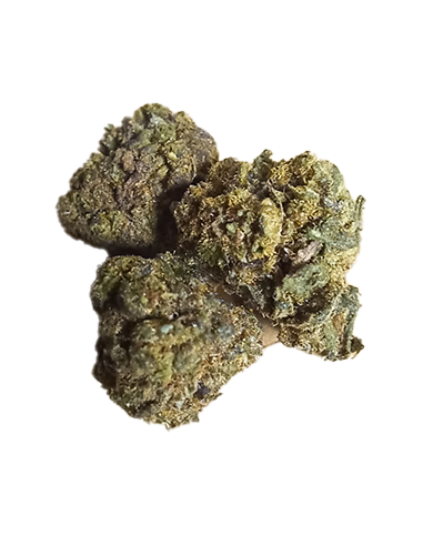 berry fleur cbd thx plus